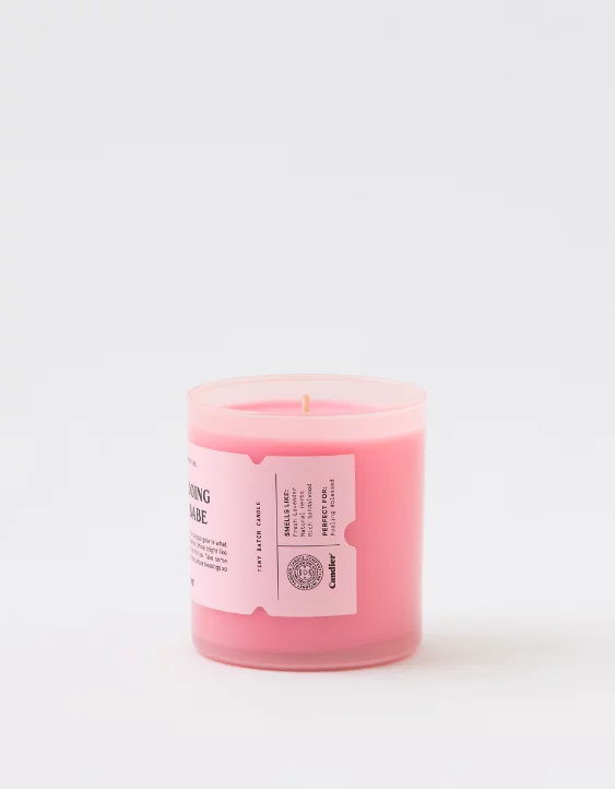 Aerie Candier You're Doing Great Babe Candle 5 Aerie Candier You're Doing Great Babe Candle - Image 3
