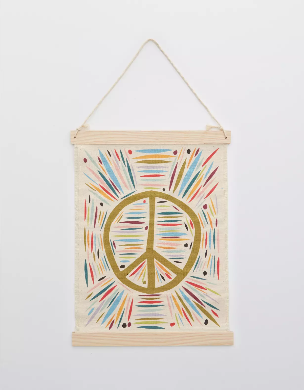 Aerie Fringe Canvas Wall Hangings 3 Aerie Fringe Canvas Wall Hangings