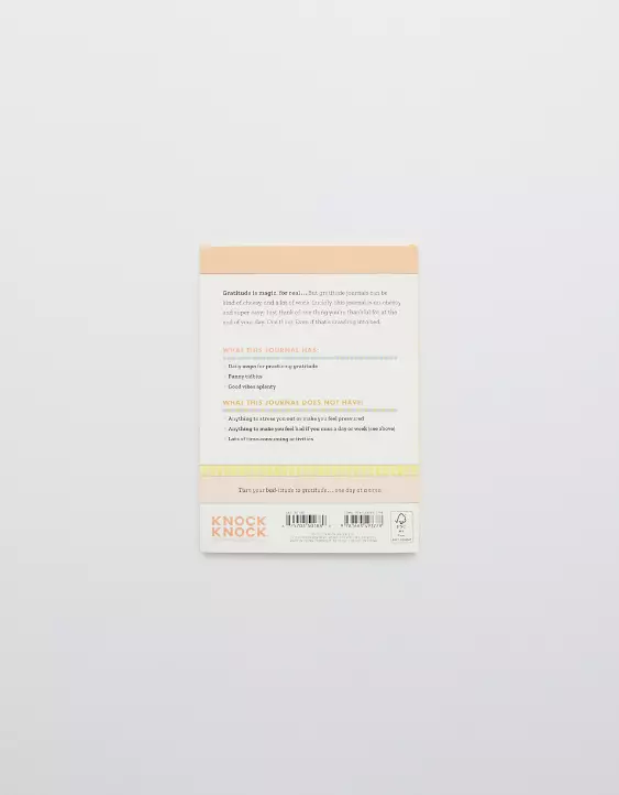 Aerie The Best Thing Today Journal 5 Aerie The Best Thing Today Journal - Image 3