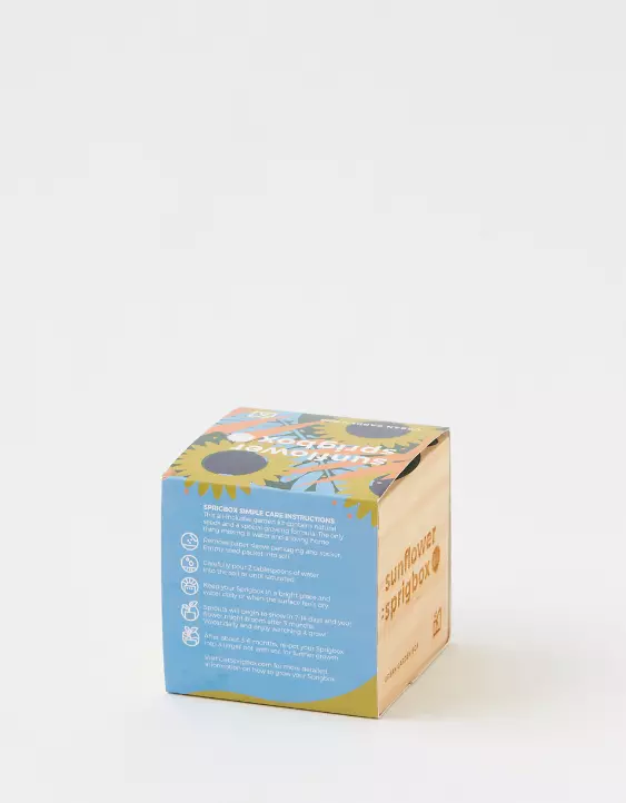 Aerie Sprigbox Planter 5 Aerie Sprigbox Planter - Image 3