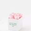 Aerie Rose Farmers Love This Moment Roses 4-Count 1 Aerie Rose Farmers Love This Moment Roses 4-Count -Aerie Shop 5498 8522 615 f