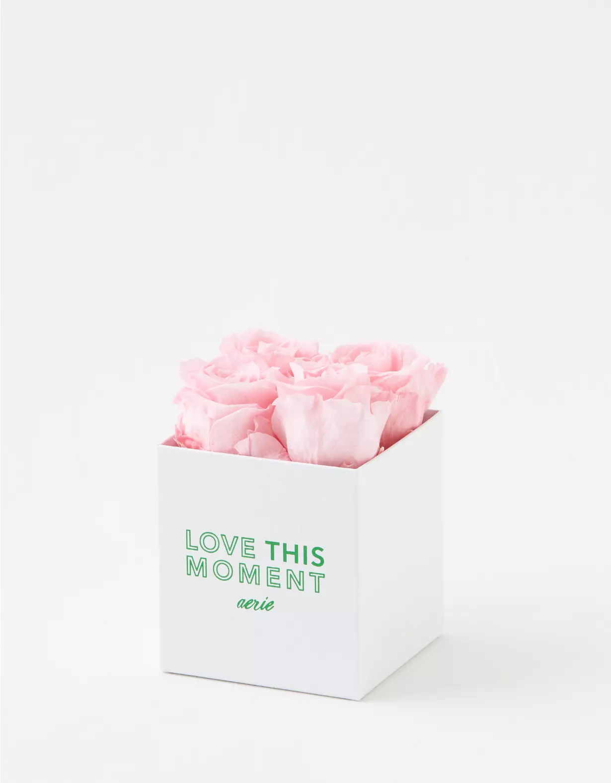 Aerie Rose Farmers Love This Moment Roses 4-Count 3 Aerie Rose Farmers Love This Moment Roses 4-Count